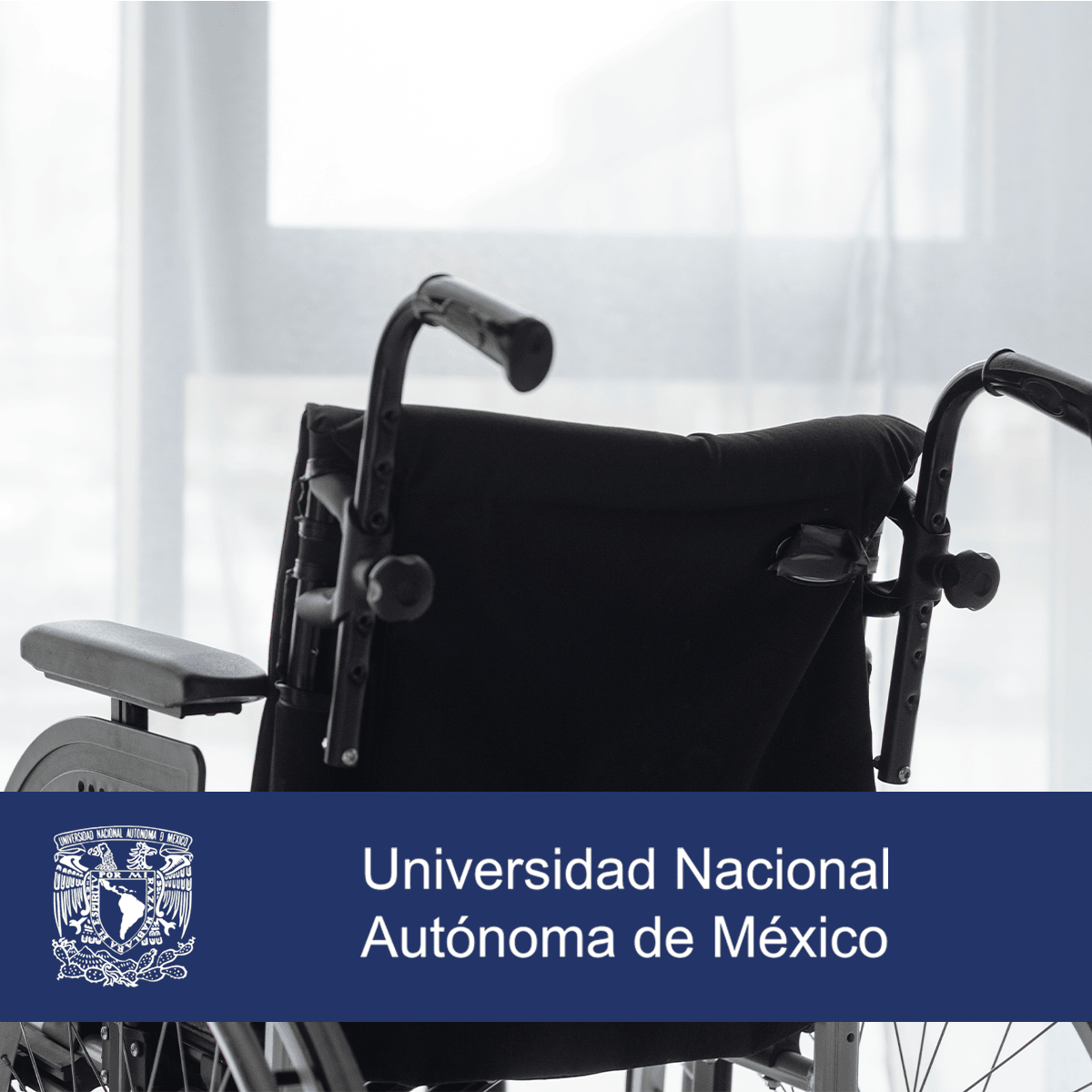 Gobierno Corporativo